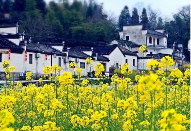 Xishan Wutong Qinyuan Huang Shan Zewnętrze zdjęcie
