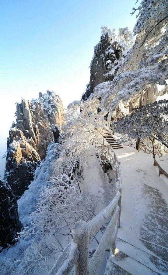 Xishan Wutong Qinyuan Huang Shan Zewnętrze zdjęcie