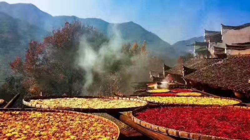 Xishan Wutong Qinyuan Huang Shan Zewnętrze zdjęcie