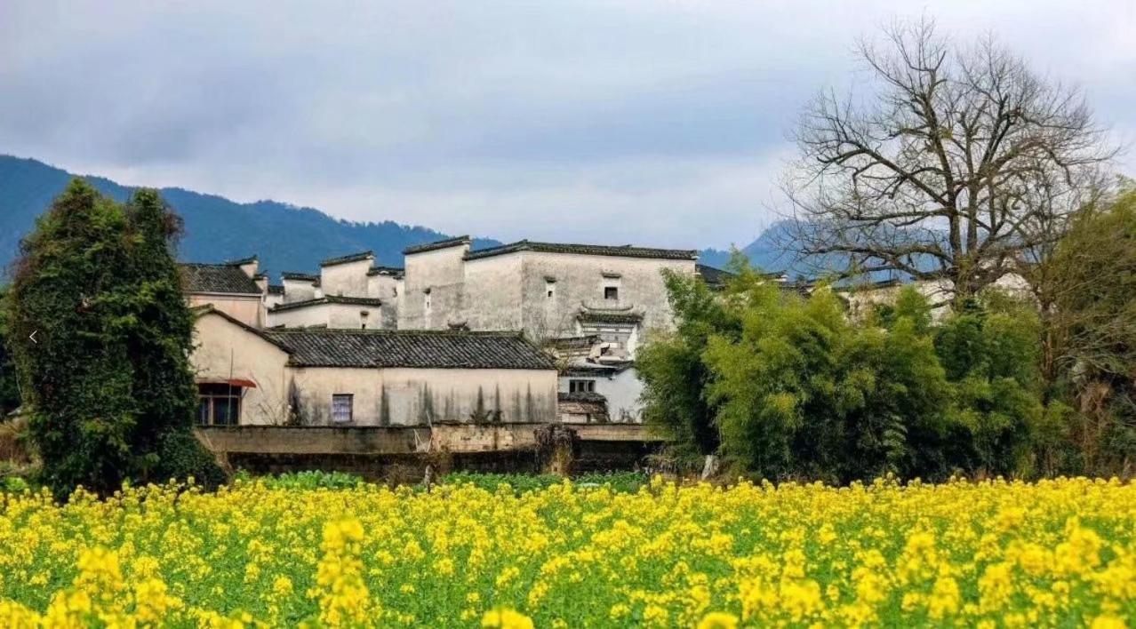 Xishan Wutong Qinyuan Huang Shan Zewnętrze zdjęcie