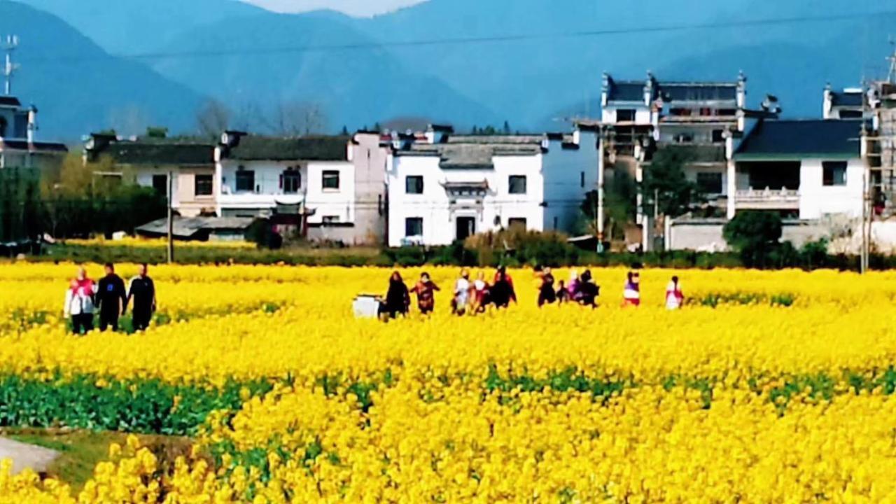 Xishan Wutong Qinyuan Huang Shan Zewnętrze zdjęcie
